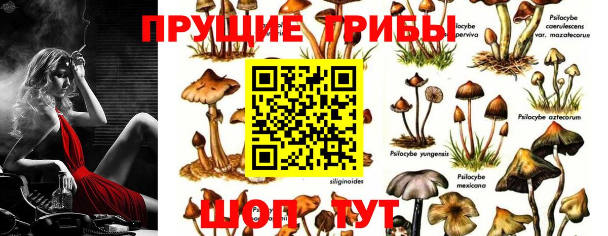 Галлюциногенные грибы Cubensis Южно-Сахалинск