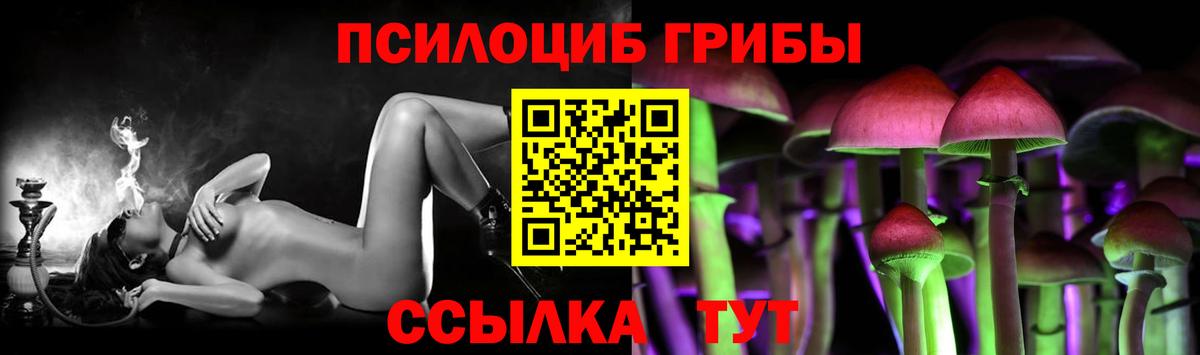 Галлюциногенные грибы Psilocybe  Вход с VPN  Южно-Сахалинск 